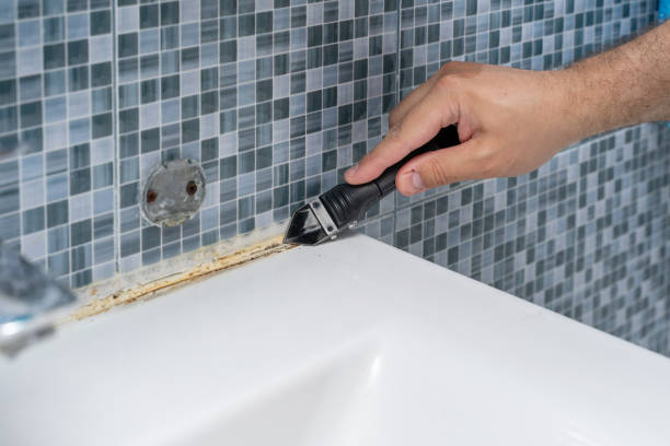 Best Mold Damage Repair  in New Baltimore, OH
